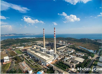 大连甘井电厂氨气检测项目