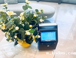 手提式高温可燃气体分析仪