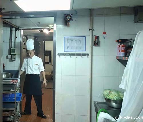 燃气天然气泄漏报警仪 燃气天然气泄漏报警仪