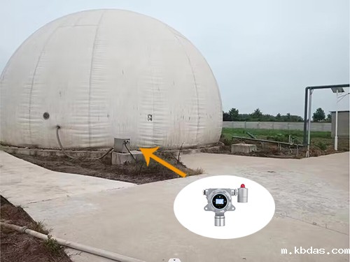 氨气检测仪 氨气检测仪