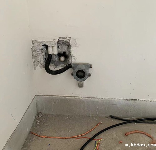 氨气检测仪 氨气检测仪