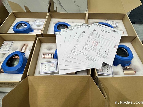 气体检测仪计量校准报告 气体检测仪计量校准报告