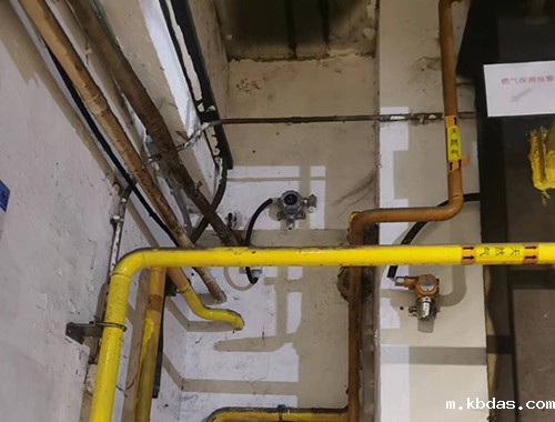 气体检测仪 气体检测仪