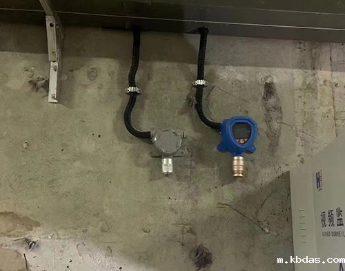 PPB级臭氧检测仪